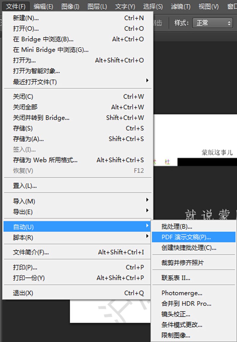 揭秘PDF双层制作技术,助力文档更高效管理